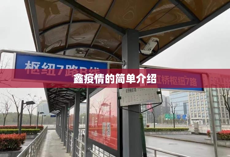 鑫疫情的简单介绍 鑫疫情的简单介绍