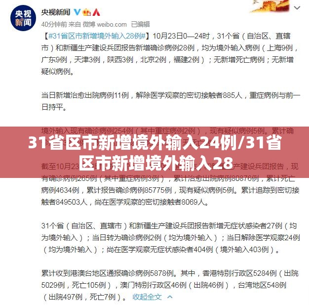 31省区市新增境外输入24例/31省区市新增境外输入28
