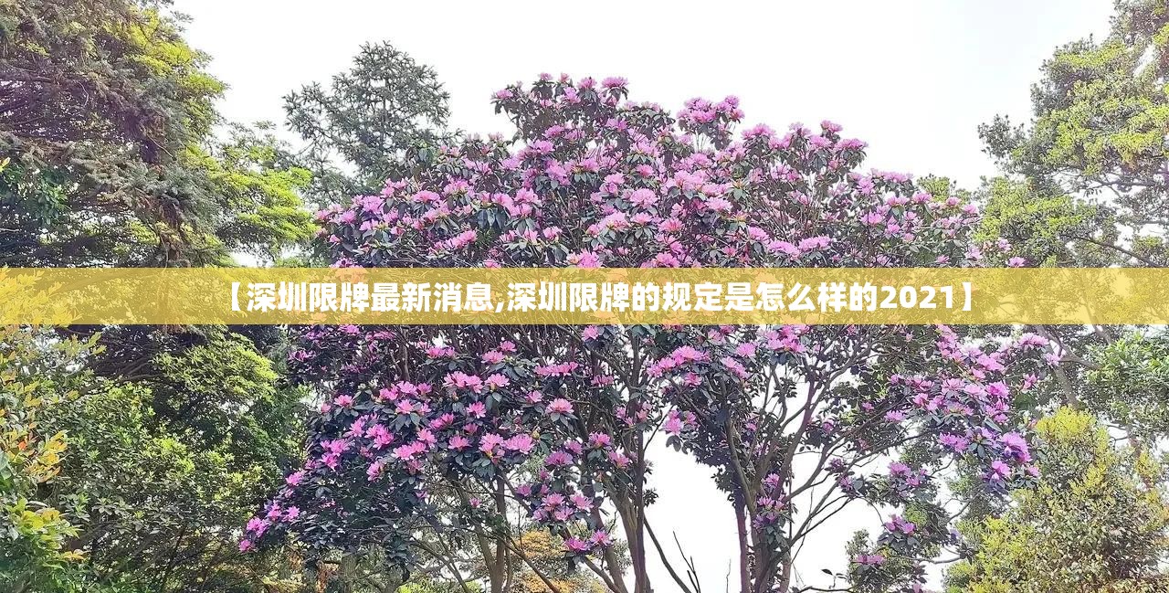【深圳限牌最新消息,深圳限牌的规定是怎么样的2021】