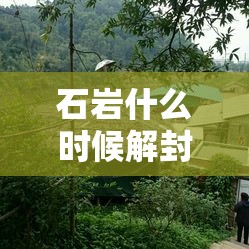 石岩什么时候解封:石岩地区
