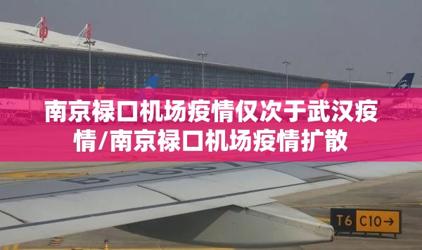 南京禄口机场疫情仅次于武汉疫情/南京禄口机场疫情扩散