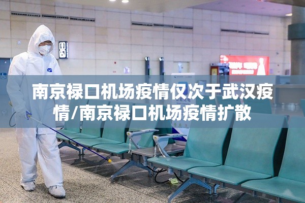 南京禄口机场疫情仅次于武汉疫情/南京禄口机场疫情扩散