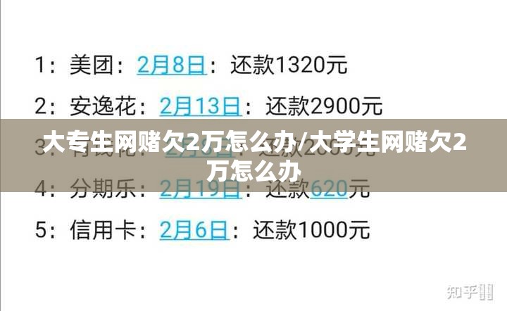 大专生网赌欠2万怎么办/大学生网赌欠2万怎么办 大专生网赌欠2万怎么办/大学生网赌欠2万怎么办