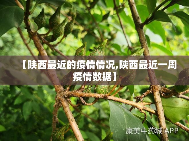 【陕西最近的疫情情况,陕西最近一周疫情数据】 【陕西最近的疫情情况,陕西最近一周疫情数据】