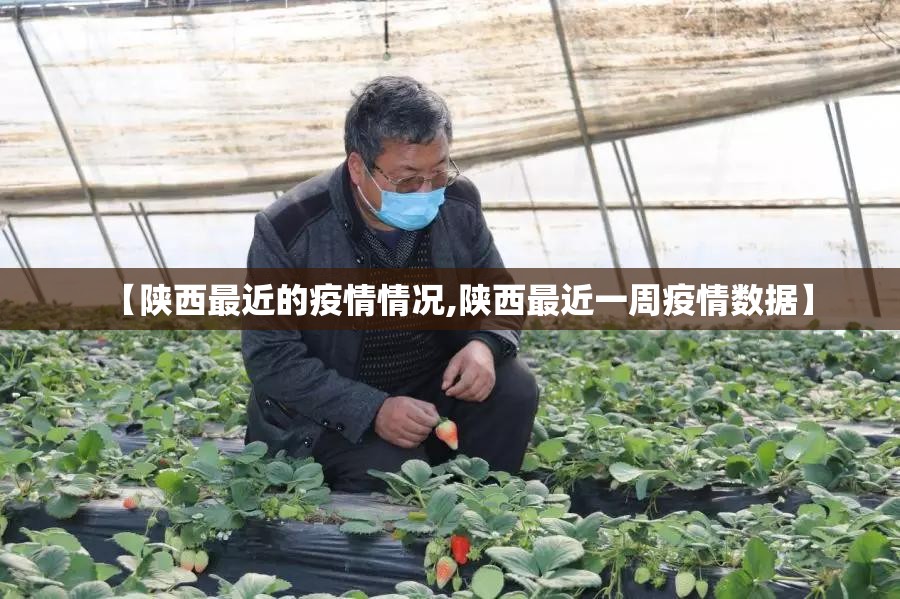 【陕西最近的疫情情况,陕西最近一周疫情数据】 【陕西最近的疫情情况,陕西最近一周疫情数据】
