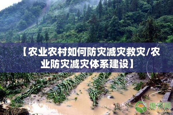 【农业农村如何防灾减灾救灾/农业防灾减灾体系建设】 【农业农村如何防灾减灾救灾/农业防灾减灾体系建设】