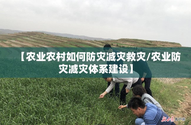 【农业农村如何防灾减灾救灾/农业防灾减灾体系建设】 【农业农村如何防灾减灾救灾/农业防灾减灾体系建设】