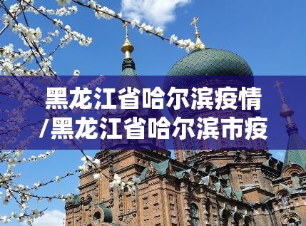 黑龙江省哈尔滨疫情/黑龙江省哈尔滨市疫情 黑龙江省哈尔滨疫情/黑龙江省哈尔滨市疫情