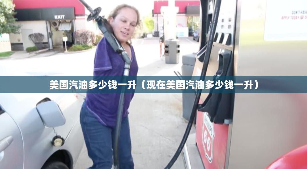 美国汽油多少钱一升（现在美国汽油多少钱一升）
