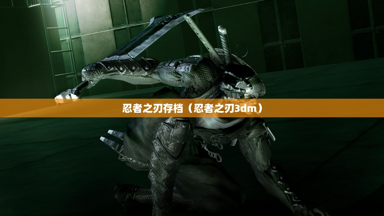 忍者之刃存档(忍者之刃3dm) 忍者之刃存档(忍者之刃3dm)