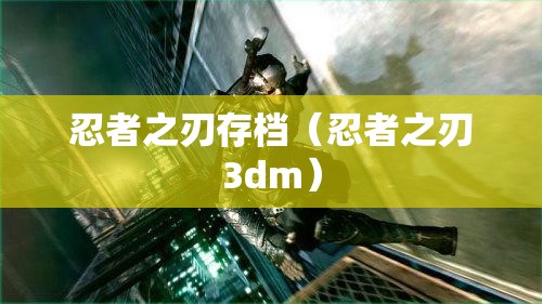 忍者之刃存档(忍者之刃3dm) 忍者之刃存档(忍者之刃3dm)