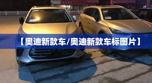 【奥迪新款车/奥迪新款车标图片】 【奥迪新款车/奥迪新款车标图片】