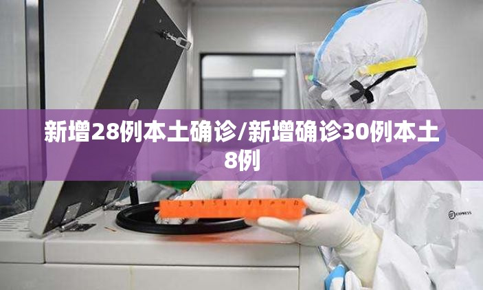 新增28例本土确诊/新增确诊30例本土8例 新增28例本土确诊/新增确诊30例本土8例