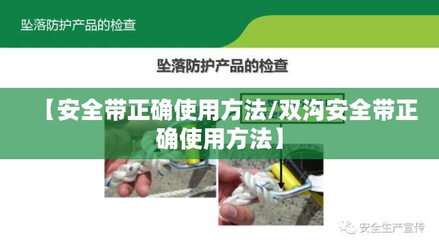 【安全带正确使用方法/双沟安全带正确使用方法】