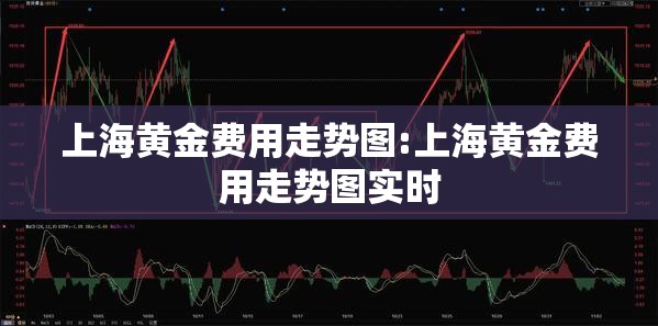 上海黄金费用走势图:上海黄金费用走势图实时