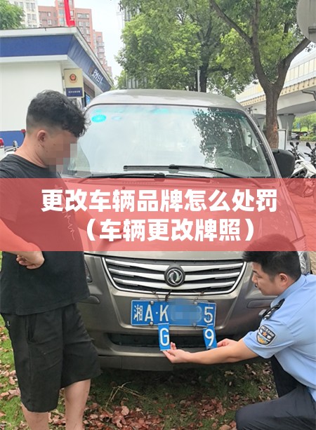 更改车辆品牌怎么处罚(车辆更改牌照) 更改车辆品牌怎么处罚(车辆更改牌照)