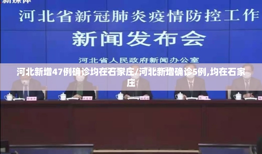 河北新增47例确诊均在石家庄/河北新增确诊5例,均在石家庄 河北新增47例确诊均在石家庄/河北新增确诊5例,均在石家庄