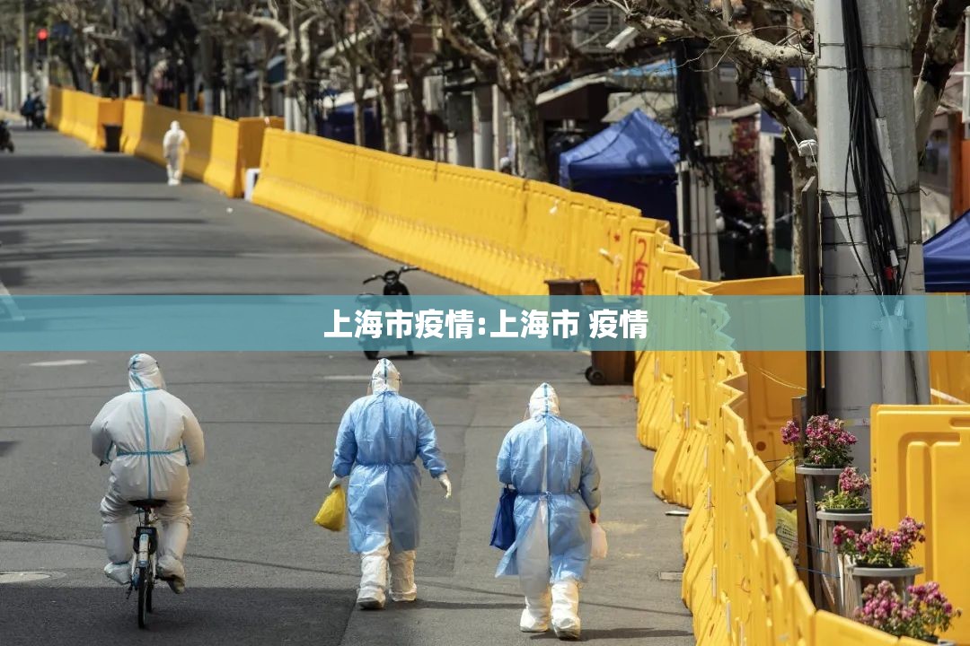 上海市疫情:上海市 疫情 上海市疫情:上海市 疫情