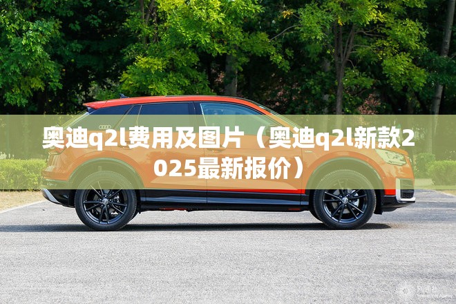 奥迪q2l费用及图片（奥迪q2l新款2025最新报价）