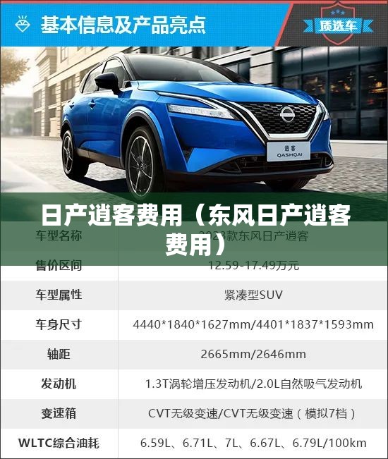日产逍客费用(东风日产逍客费用) 日产逍客费用(东风日产逍客费用)