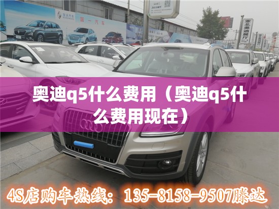奥迪q5什么费用（奥迪q5什么费用现在）