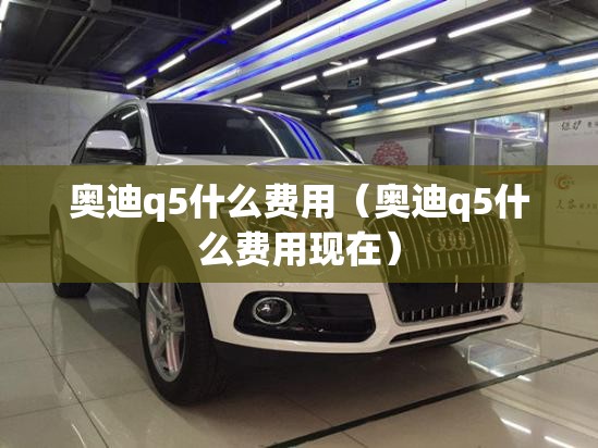 奥迪q5什么费用（奥迪q5什么费用现在）