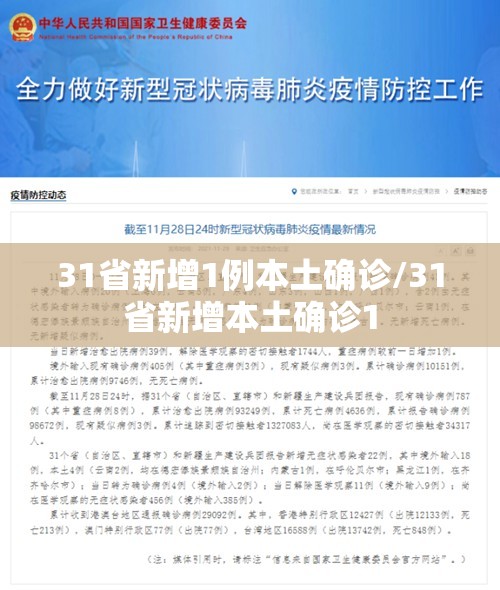 31省新增1例本土确诊/31省新增本土确诊1 31省新增1例本土确诊/31省新增本土确诊1