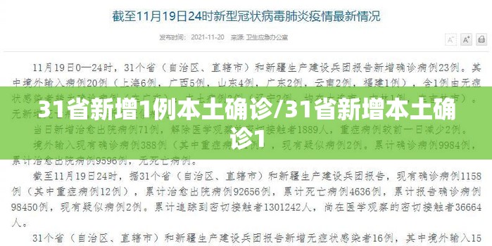 31省新增1例本土确诊/31省新增本土确诊1 31省新增1例本土确诊/31省新增本土确诊1