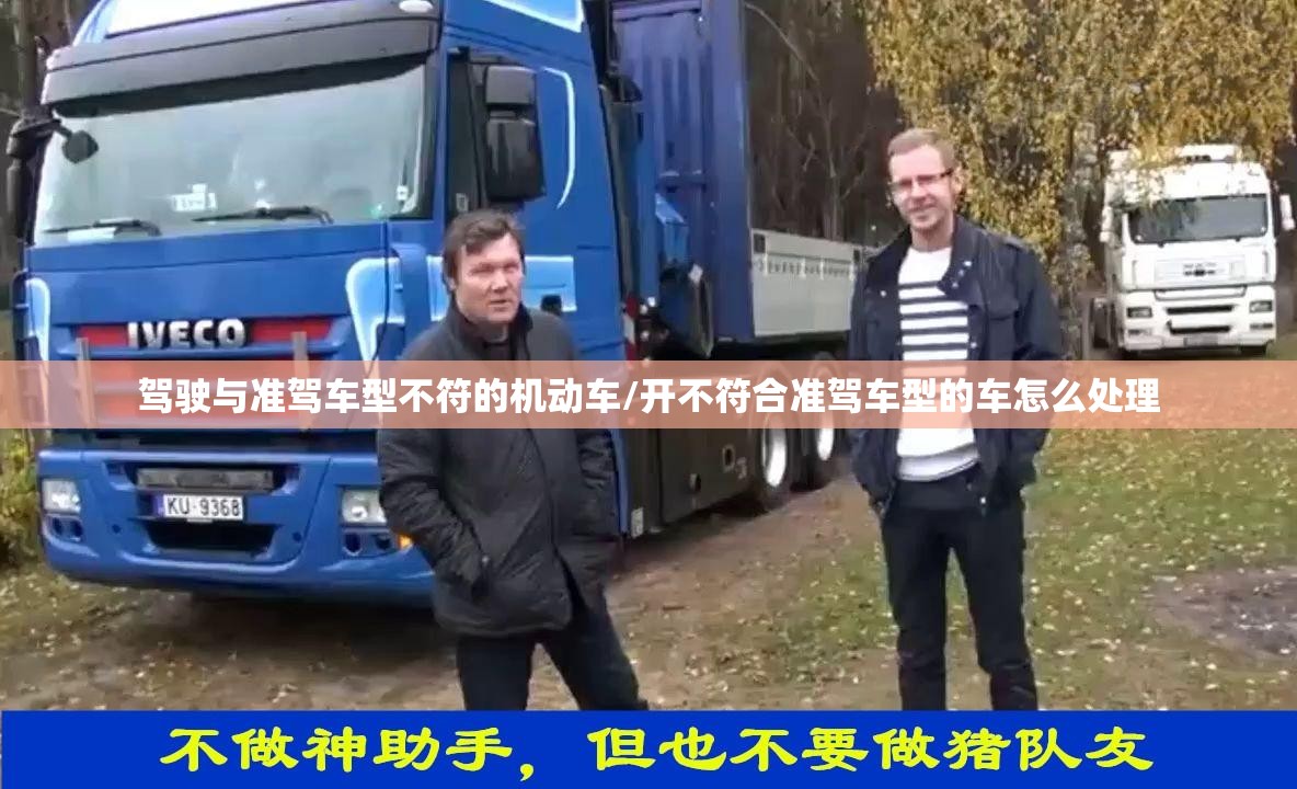 驾驶与准驾车型不符的机动车/开不符合准驾车型的车怎么处理 驾驶与准驾车型不符的机动车/开不符合准驾车型的车怎么处理