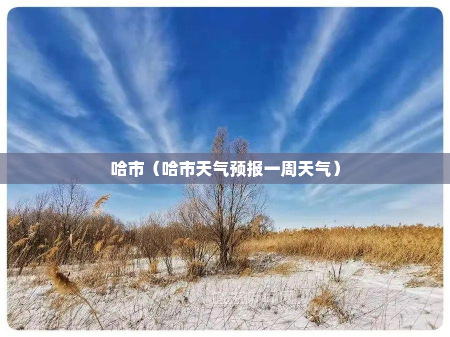 哈市(哈市天气预报一周天气) 哈市(哈市天气预报一周天气)