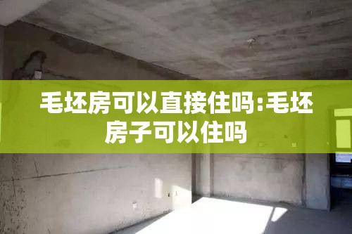 毛坯房可以直接住吗:毛坯房子可以住吗