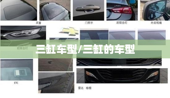 三缸车型/三缸的车型