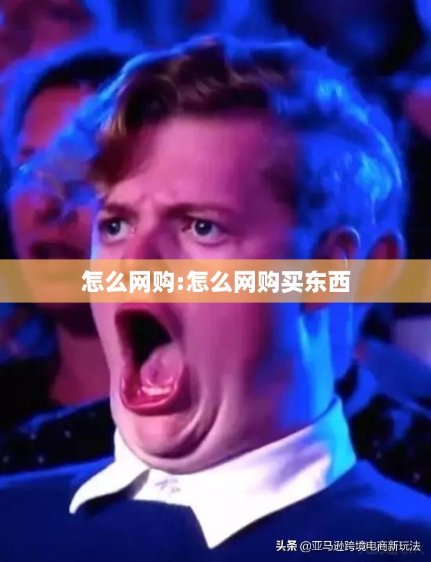 怎么网购:怎么网购买东西