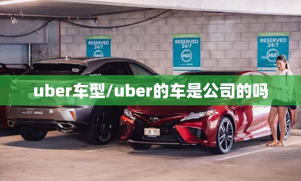 uber车型/uber的车是公司的吗