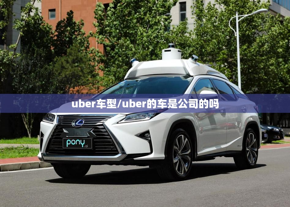 uber车型/uber的车是公司的吗