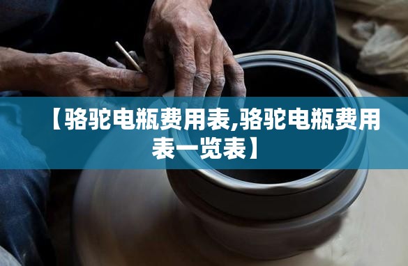 【骆驼电瓶费用表,骆驼电瓶费用表一览表】 【骆驼电瓶费用表,骆驼电瓶费用表一览表】