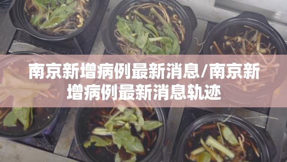 南京新增病例最新消息/南京新增病例最新消息轨迹 南京新增病例最新消息/南京新增病例最新消息轨迹