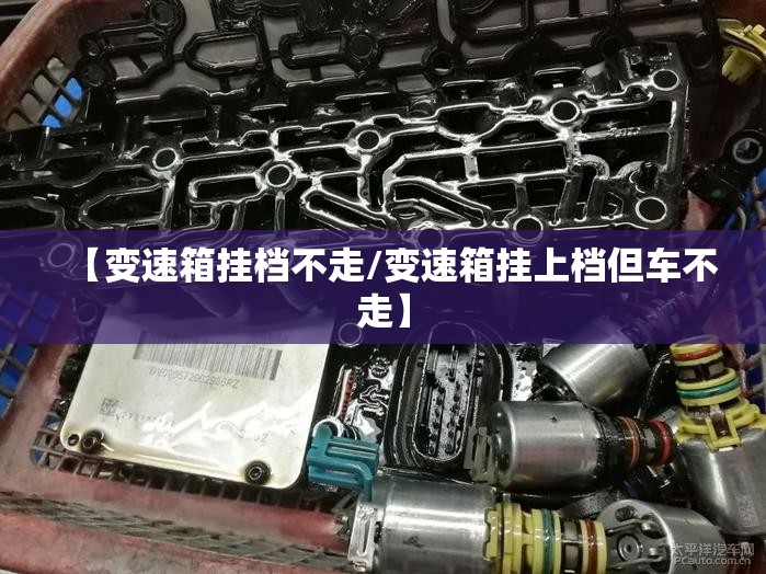 【变速箱挂档不走/变速箱挂上档但车不走】