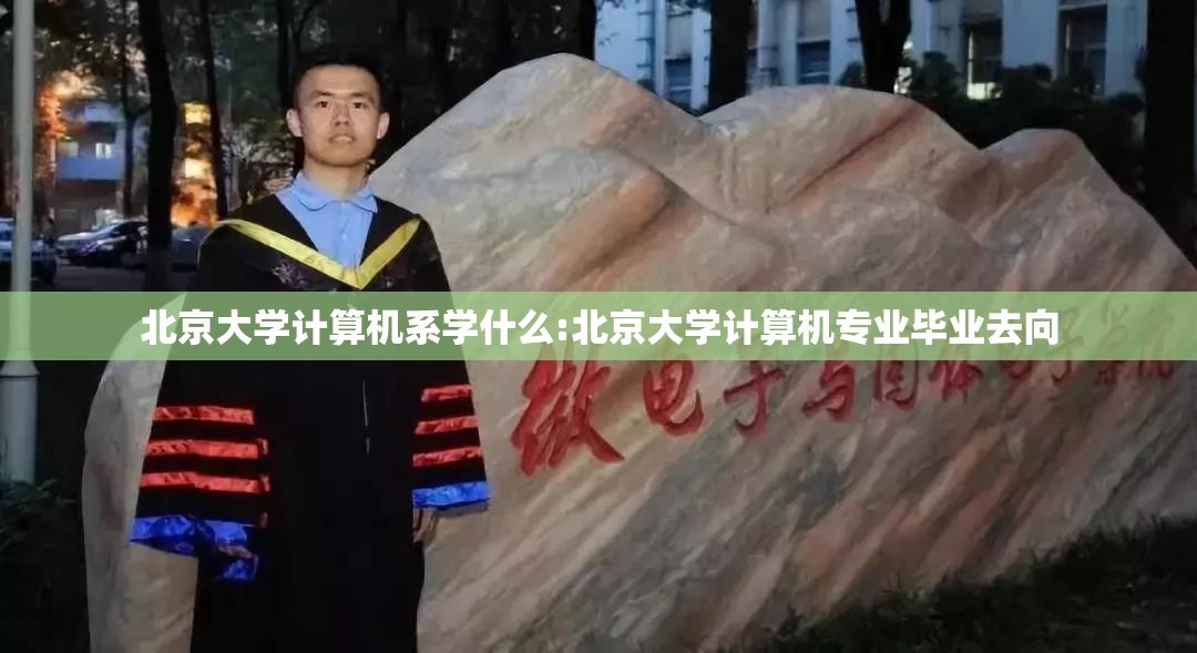 北京大学计算机系学什么:北京大学计算机专业毕业去向