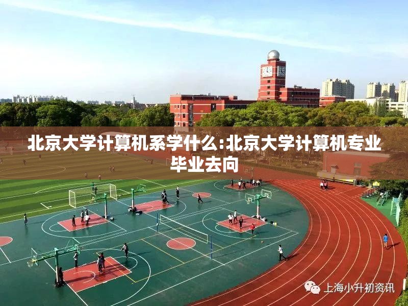 北京大学计算机系学什么:北京大学计算机专业毕业去向
