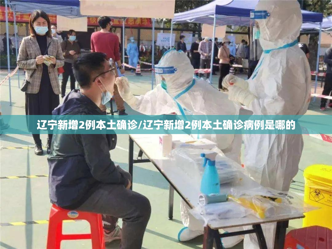 辽宁新增2例本土确诊/辽宁新增2例本土确诊病例是哪的