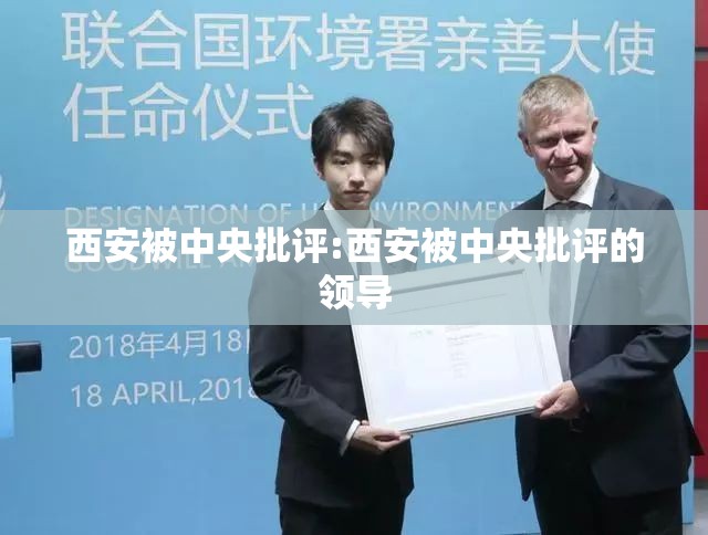 西安被中央批评:西安被中央批评的领导