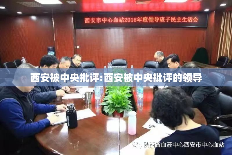 西安被中央批评:西安被中央批评的领导