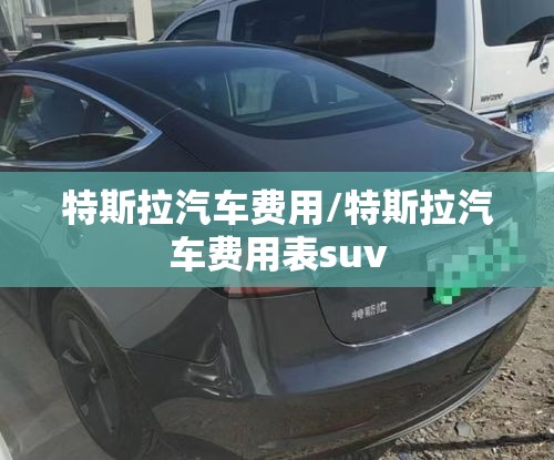 特斯拉汽车费用/特斯拉汽车费用表suv 特斯拉汽车费用/特斯拉汽车费用表suv