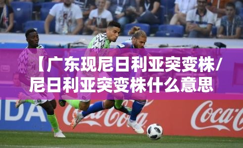 【广东现尼日利亚突变株/尼日利亚突变株什么意思】
