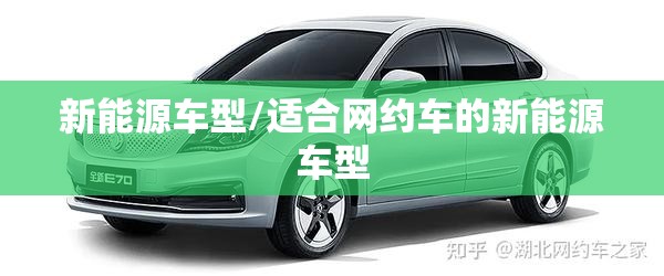 新能源车型/适合网约车的新能源车型