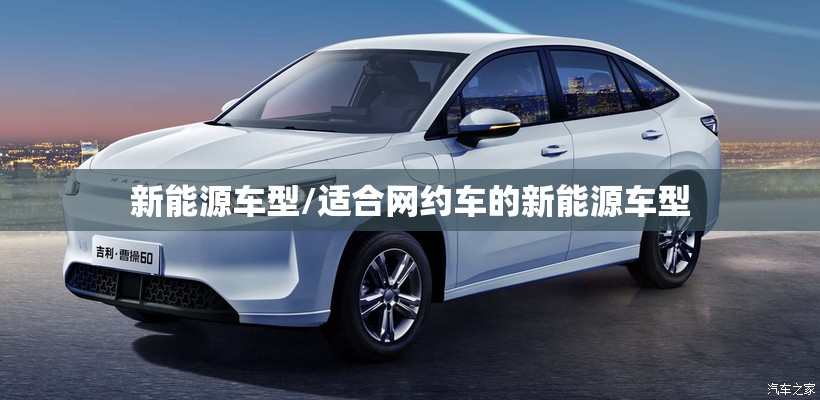 新能源车型/适合网约车的新能源车型