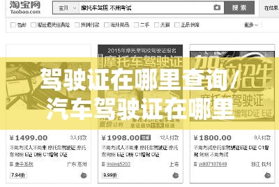 驾驶证在哪里查询/汽车驾驶证在哪里查询 驾驶证在哪里查询/汽车驾驶证在哪里查询