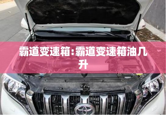 霸道变速箱:霸道变速箱油几升 霸道变速箱:霸道变速箱油几升