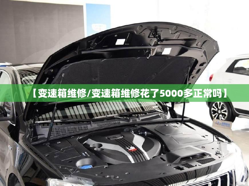 【变速箱维修/变速箱维修花了5000多正常吗】 【变速箱维修/变速箱维修花了5000多正常吗】